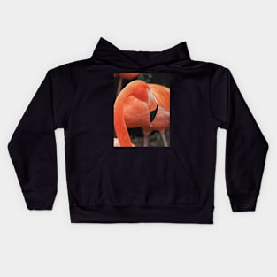 Falcon Style Kids Hoodie